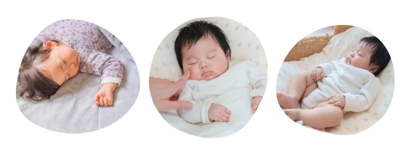 右側の画像説明